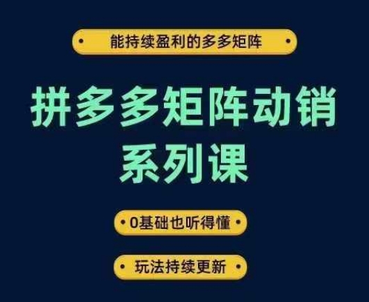 拼多多矩阵动销系列课：打造持续盈利的多多矩阵，零基础也能听懂，玩法不断更新！