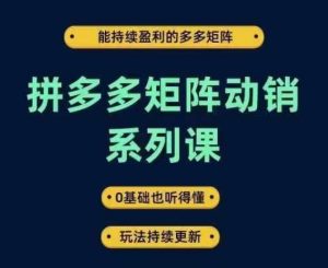拼多多矩阵动销系列课：打造持续盈利的多多矩阵，零基础也能听懂，玩法不断更新！-衍希素材