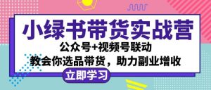 小绿书AI带货实战营:公众号+视频号联动,教会你选品带货,助力副业增收-衍希素材
