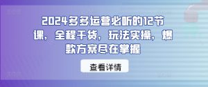 2024多多运营必听的12节课,全程干货,玩法实操,爆款方案尽在掌握-衍希素材