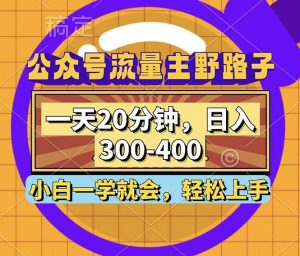 公众号流量主野路子玩法，一天20分钟，日入300~400，小白一学就会-衍希素材