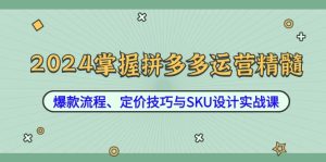2024掌握拼多多运营精髓:爆款流程、定价技巧与SKU设计实战课-衍希素材
