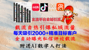 小红书,抖音,视频号,快手主流平台全域引流,截流自热引爆私域流量,…-衍希素材