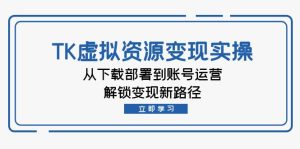 跨境电商TK虚拟资料变现实操:从下载部署到账号运营,解锁变现新路径-衍希素材