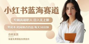 小红书蓝海赛道，圈中高端职场人，月入无上限，可矩阵，内含私域实操教程!-衍希素材
