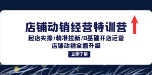 店铺动销经营特训营:全方位提升动销能力(店铺,动销经营,特训营,起店实操,精准拉新,0基础,开店运营)-衍希素材